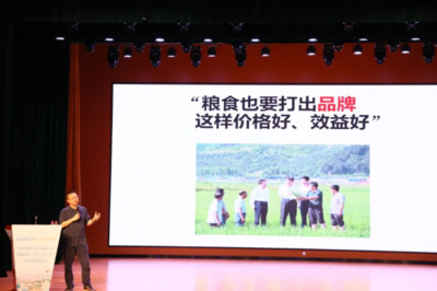 &ldquo;鄉村智庫&rdquo;、&ldquo;專家智匯&rdquo;共同加力麻章提速&ldquo;百千萬工程&rdquo;落實落細